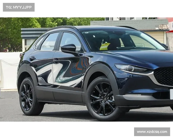 全世界都无法忽视中国人的存在 比如这四款“中国特供SUV”